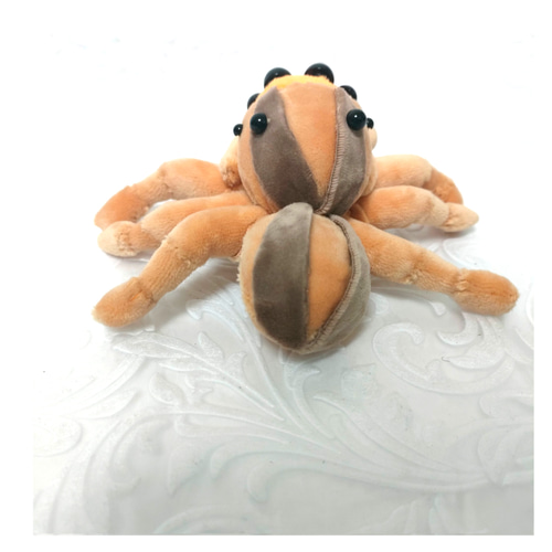 ハエトリグモのぬいぐるみ(ミスジハエトリ) ぬいぐるみ 尸 通販