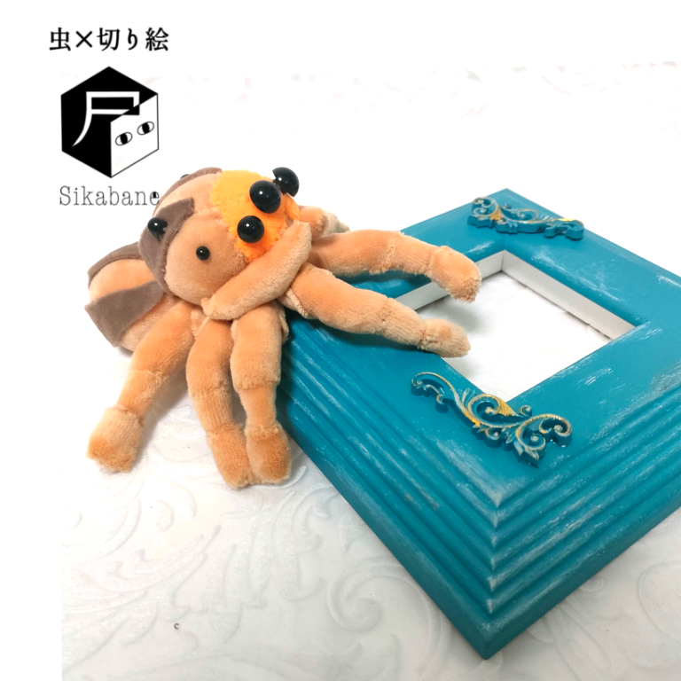 ハエトリグモのぬいぐるみ(ミスジハエトリ)