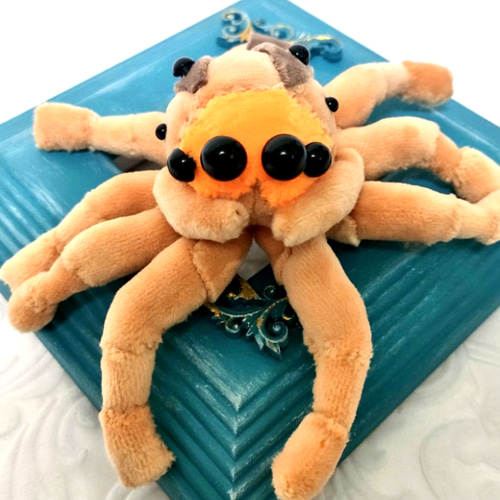 ハエトリグモのぬいぐるみ(ミスジハエトリ) ぬいぐるみ 尸 通販