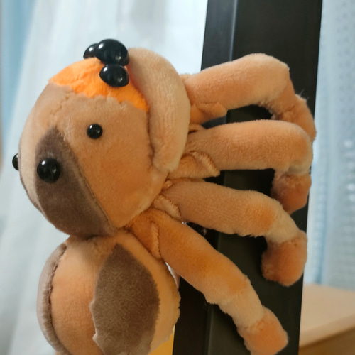 ハエトリグモのぬいぐるみ(ミスジハエトリ) ぬいぐるみ 尸 通販