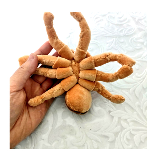 ウェル ハエトリグモのぬいぐるみ ハエトリグモのぬいぐるみ(ミスジハエトリ) ぬいぐるみ 尸 通販