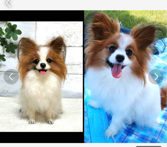 ☆羊毛フェルト☆【オーダーメイド】☆ハンドメイド☆リアル☆パピヨン☆うちの子☆メモリアル☆犬☆ぬいぐるみ☆虹の橋 ☆羊毛フェルト☆【オーダーメイド】☆ハンドメイド☆リアル☆パピヨン☆うちの子☆メモリアル☆犬☆ぬいぐるみ☆虹の橋 ☆羊毛フェルト☆【オーダーメイド】☆ハンドメイド☆リアル☆パピヨン☆うちの子☆メモリアル☆犬☆ぬいぐるみ☆虹の橋 E2593884026(19800円)