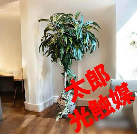 光触媒　人工観葉植物　ウォールグリーン　フェイクグリーン　ショウナンゴム@gja 