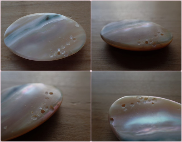 沖繩夜光貝殼，無孔零件，橢圓形 第5張的照片