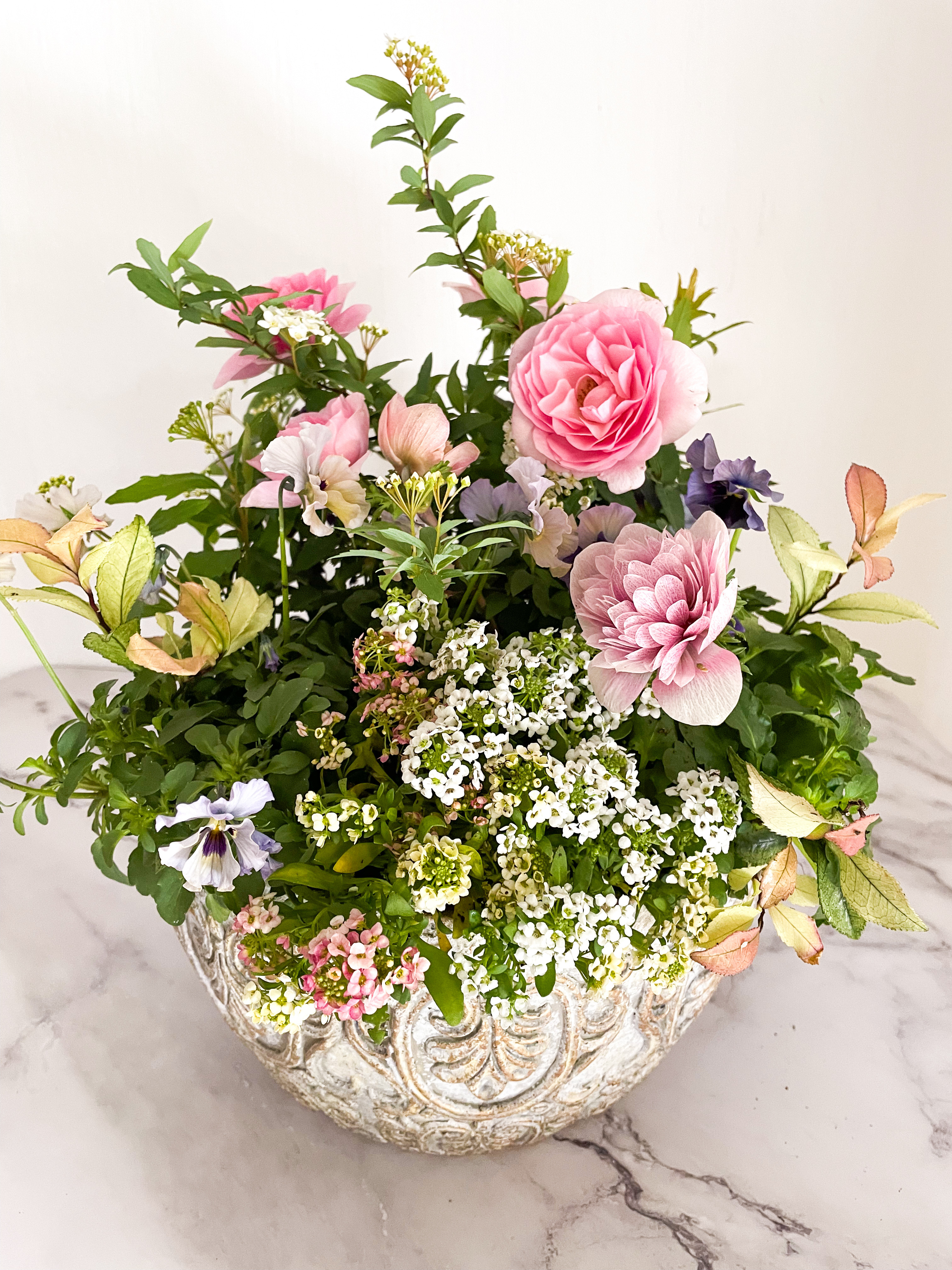 【春の寄せ植え】