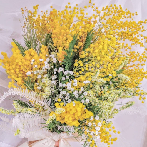 大きなミモザ スワッグ⑥❁約38cm 2026販売！ミモザのスワッグ♡ドライフラワーミモザ花束♡おしゃれ 卒業式 プレゼント 花束 ドライフラワー フラワー・リース
