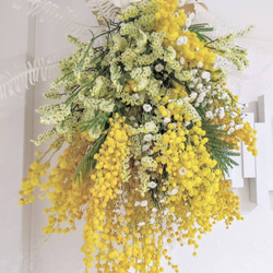ミモザの花束、スワッグドライフラワーＬサイズ 1枚目の画像