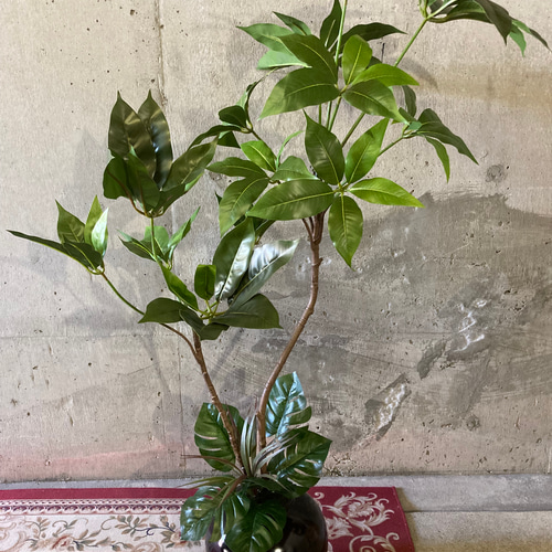 光触媒 人工観葉植物 ウォールグリーン フェイクグリーン ツピタンサス