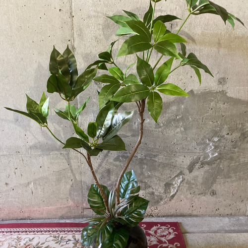 光触媒 人工観葉植物 ウォールグリーン フェイクグリーン ツピタンサス