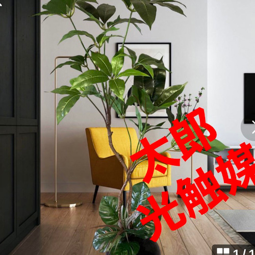 光触媒　人工観葉植物　ウォールグリーン　フェイクグリーン　ツピタンサス11 光触媒 光の楽園ナチュラルツビタンサス 1.0m【インテリア フェイク