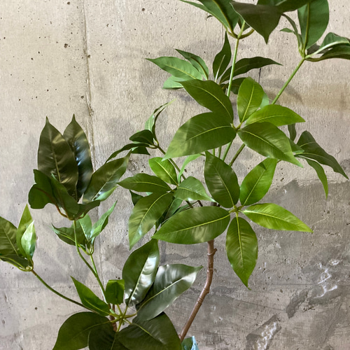 光触媒 人工観葉植物 ウォールグリーン フェイクグリーン ツピタンサス