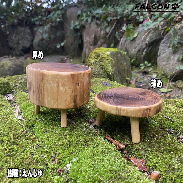 [工房FALCON] 天然木丸太スライスミニテーブル 【樹種：えんじゅ／厚め／直径：中】 2枚目の画像