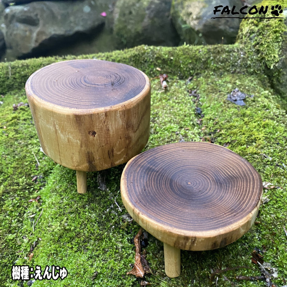 工房FALCON] 天然木丸太スライスミニテーブル 【樹種：えんじゅ／薄め 