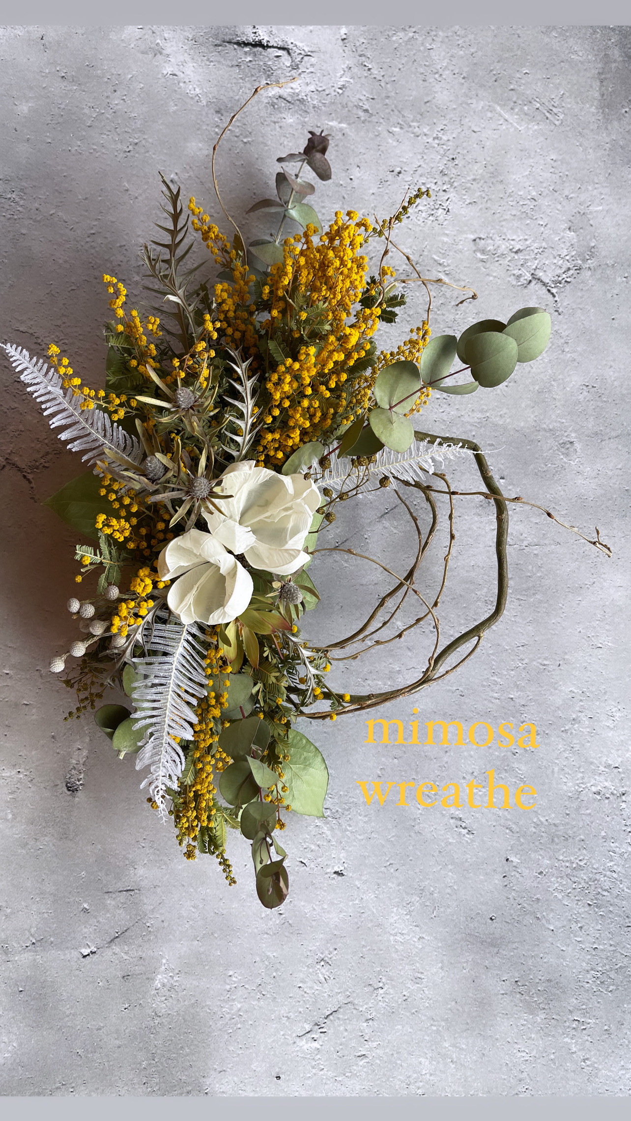 ミモザ リース 未使用 【ご予約スタート】 新品 ドライフラワー 30cm