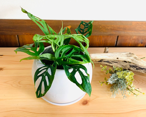 fbbf165789163c2f9436aa59391fae