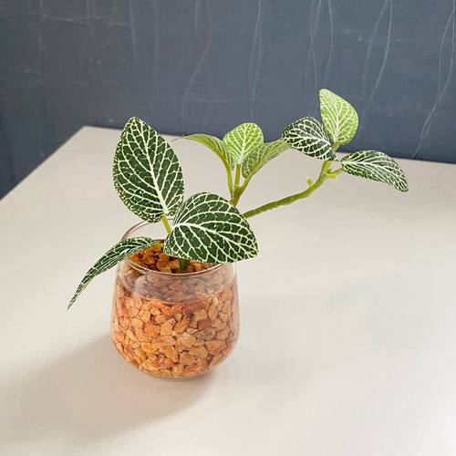 一点もの 希少 フェイクグリーン 観葉植物 インテリア