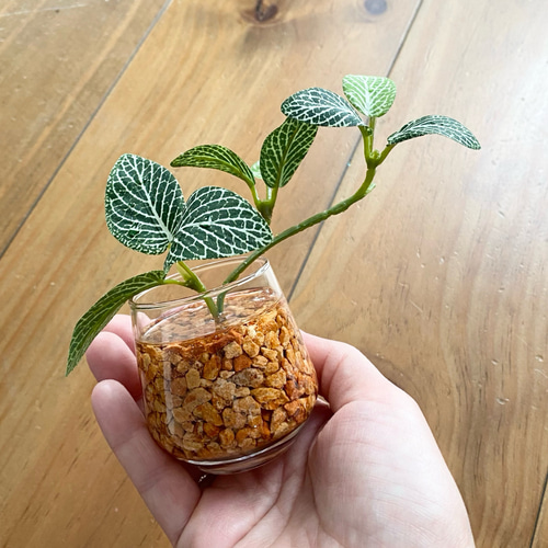 一点もの 希少 フェイクグリーン 観葉植物 インテリア