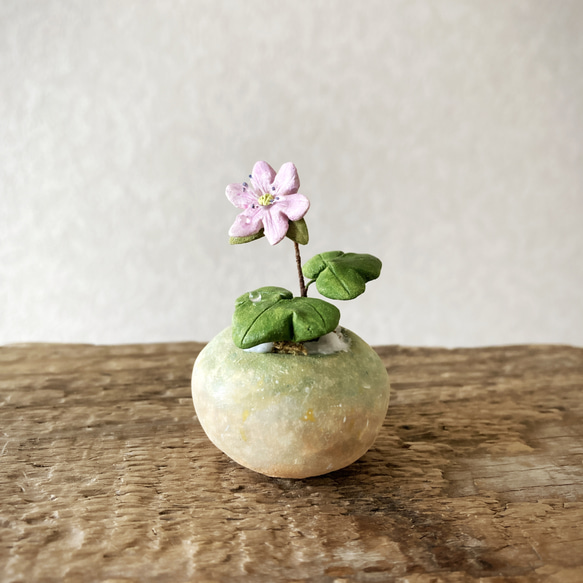 8505.bud 粘土の鉢植え 雪割草 1枚目の画像