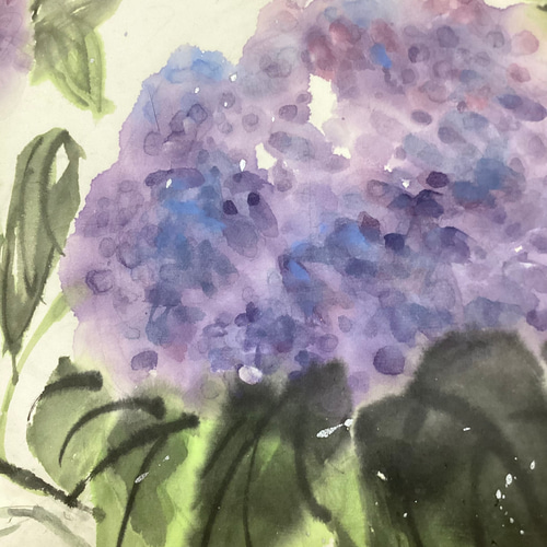 紫陽花〜大輪 絵画 墨絵 水墨画 墨彩画 インテリアアート 雑貨