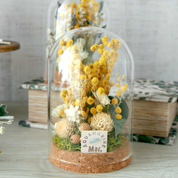 ミモザの誕生月の天然石 Flower dome プリザーブドフラワー QUEUE DE