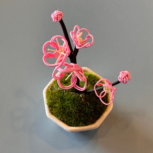 新作⭐︎水引ミニ盆栽【梅】 盆栽 tomoemon 通販 17188362｜Creema