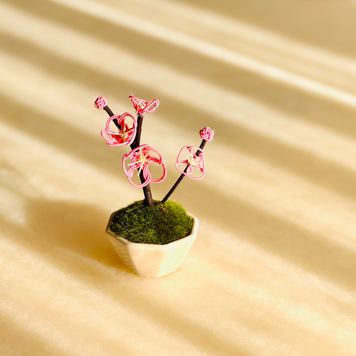 新作⭐︎水引ミニ盆栽【梅】 盆栽 tomoemon 通販 17188362｜Creema