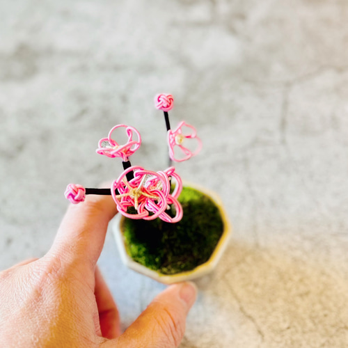 水引　水引パーツ　梅結びミニリース 新 モデルHandmade / Handicraft - 水引 水引パーツ 梅結びミニ