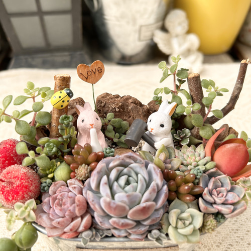 送料無料】可愛い♡餅つきウサギさん♪多肉植物寄せ植え プレゼント