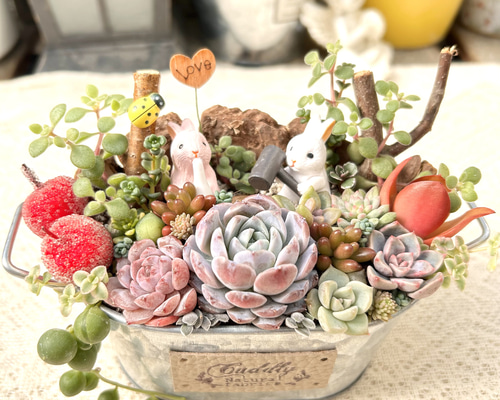 ac041ce6668cbe773be52aec7a857c