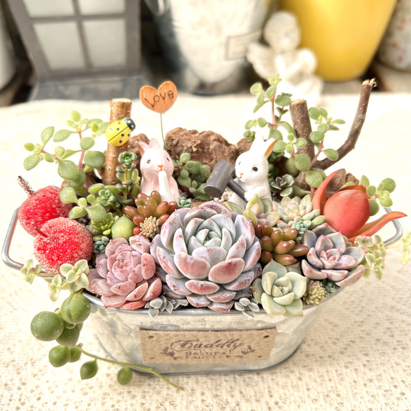 ★ ♡ラムネ♡様★切り株に乗ったうさぎさん★２点セット★多肉鉢★寄せ植え★ 送料無料】可愛い♡餅つきウサギさん♪多肉植物寄せ植え プレゼント