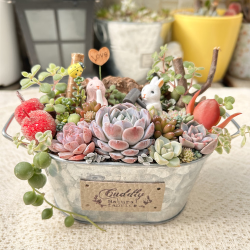 送料無料】可愛い♡餅つきウサギさん♪多肉植物寄せ植え プレゼント