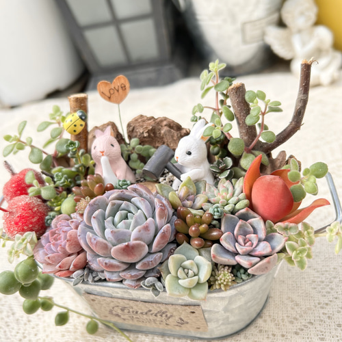 送料無料】可愛い♡餅つきウサギさん♪多肉植物寄せ植え プレゼント