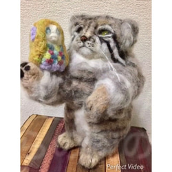 オーダーメイド☆羊毛フェルトの招き猫のマヌルネコ 8枚目の画像