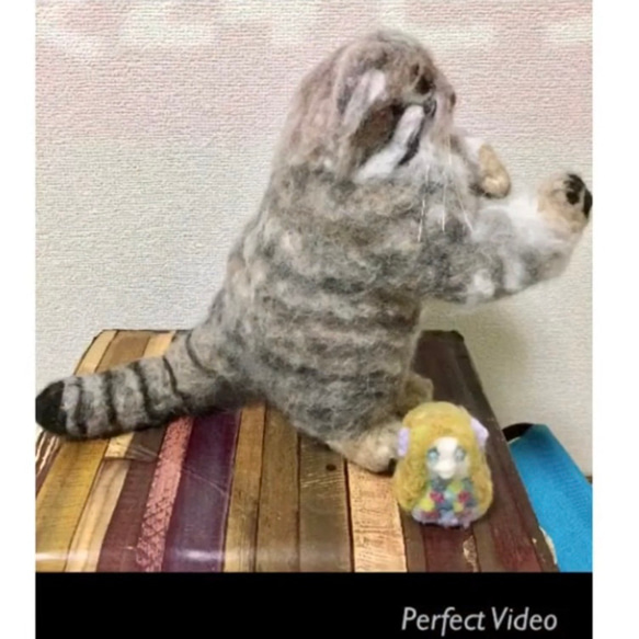 オーダーメイド☆羊毛フェルトの招き猫のマヌルネコ 7枚目の画像