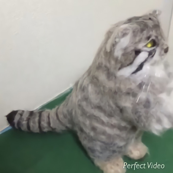 オーダーメイド☆羊毛フェルトの招き猫のマヌルネコ 12枚目の画像