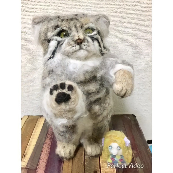 オーダーメイド☆羊毛フェルトの招き猫のマヌルネコ 4枚目の画像