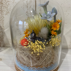 ガラスドームのお花と猫ちゃん【アメリカショートヘア】 2枚目の画像