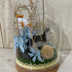 ガラスドームのお花と猫ちゃん【ノルウェージャンフォレストキャット】 3枚目の画像