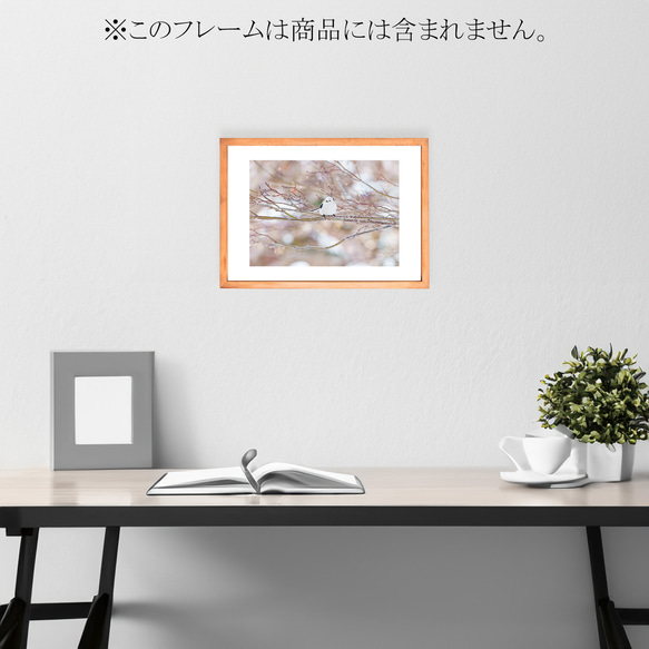 【A4、A3可能】光の中のシマエナガ・アートポスター北海道野鳥写真 3枚目の画像