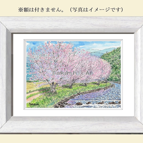 原画一点物 「川辺の桜」 <ペン+透明水彩> 絵画 Takashi.A 原画一点物 「川辺の桜」 <ペン+透明水彩> 絵画 Takashi.A