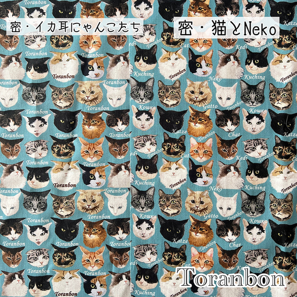 【商用利用可】密猫＆イカ耳のカットクロスセット　50㎝×50㎝の2枚セット 2枚目の画像