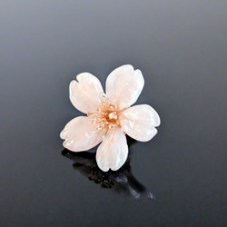 【受注制作】Everpink. 本物の桜　厳選花のみで仕上げるタックピン/ブローチ/ピンブローチ 9枚目の画像