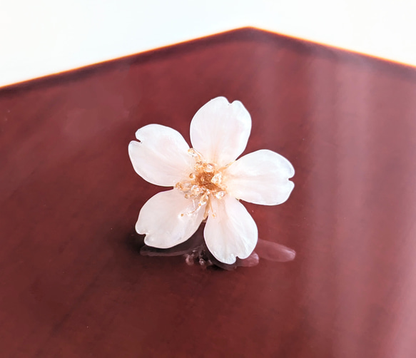 【受注制作】Everpink. 本物の桜　厳選花のみで仕上げるタックピン/ブローチ/ピンブローチ 6枚目の画像