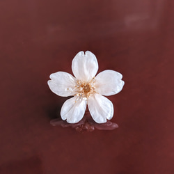 【受注制作】Everpink. 本物の桜　厳選花のみで仕上げるタックピン/ブローチ/ピンブローチ 3枚目の画像