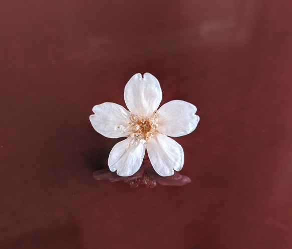 【受注制作】Everpink. 本物の桜　厳選花のみで仕上げるタックピン/ブローチ/ピンブローチ 3枚目の画像