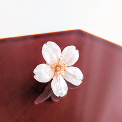 【受注制作】Everpink. 本物の桜　厳選花のみで仕上げるタックピン/ブローチ/ピンブローチ 4枚目の画像