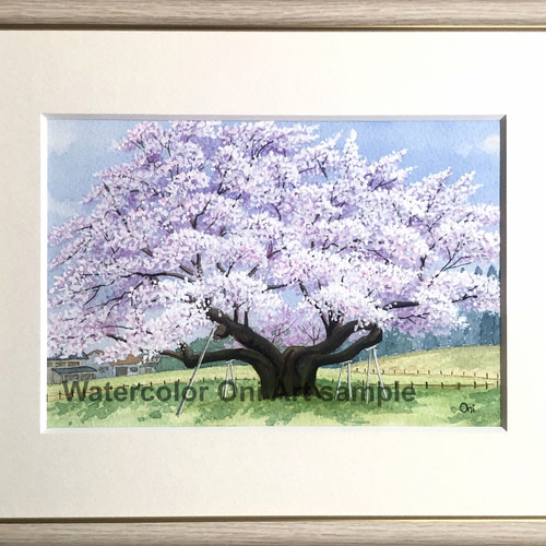 根尾谷淡墨桜」透明水彩画 原画 風景画 額縁付 SMサイズ 絵画 根尾谷淡墨桜」透明水彩画 原画 風景画 額縁付 SMサイズ 絵画