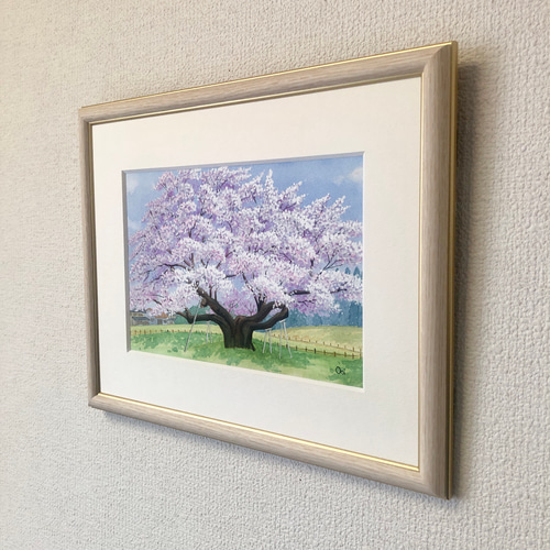 根尾谷淡墨桜」透明水彩画 原画 風景画 額縁付 SMサイズ 絵画 根尾谷淡墨桜」透明水彩画 原画 風景画 額縁付 SMサイズ 絵画