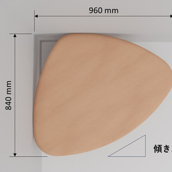  第10張的照片