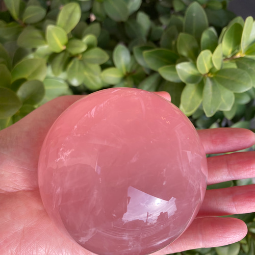 プルプルの桃？】高品質スターディープローズクォーツスフィア その他